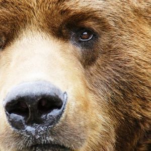 Meet your Posher, Shawn